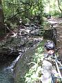 Jungle Biking at Anse Mamin